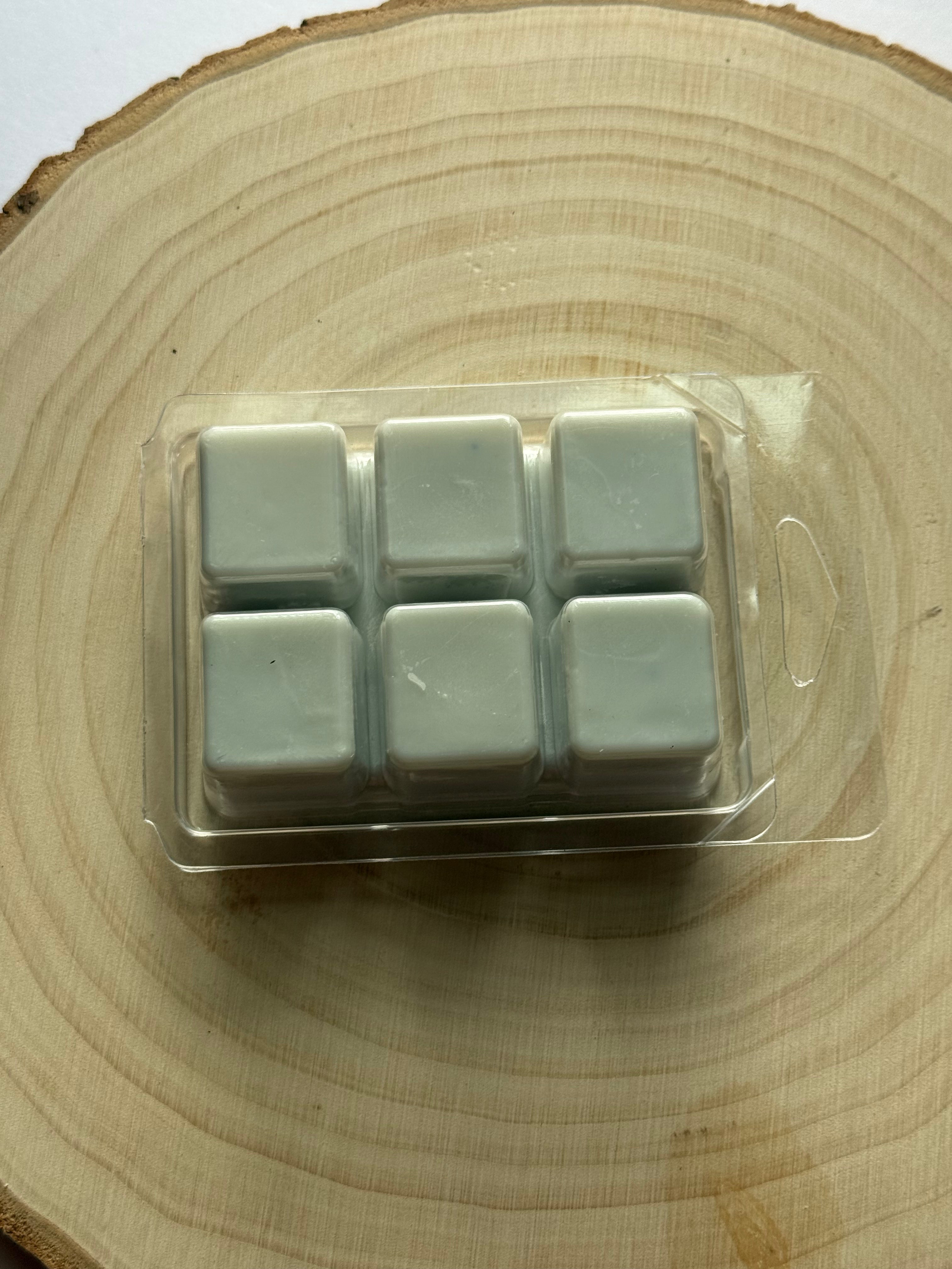 Salt Water Shores Scented Wax Melts